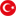 Türkçe